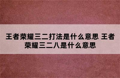 王者荣耀三二打法是什么意思 王者荣耀三二八是什么意思